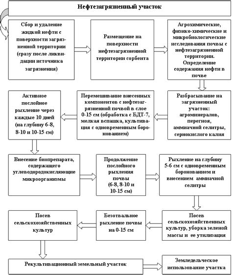 Комплексный подход в методах рекультивации