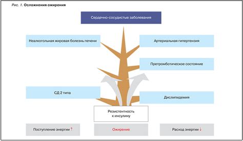 Конечный результат и дальнейшие возможности