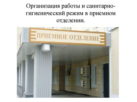 Консультации в приемном отделении