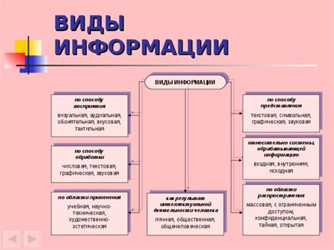 Контактная информация и доступность