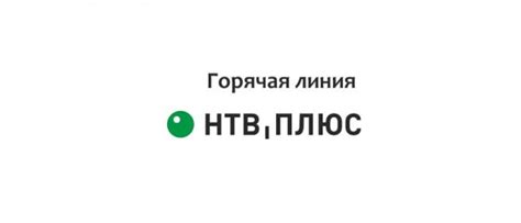 Контактные телефоны техподдержки ФСС для быстрого решения проблем