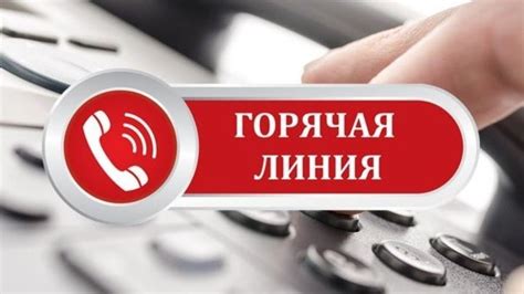 Контактный телефон горячей линии для обращений