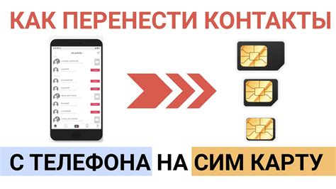 Контакты Телефона Максидома на Тельмана