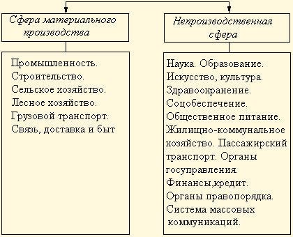 Контакты и сфера деятельности