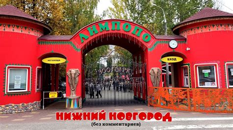 Контакты телефона зоопарка Лимпопо в Нижнем Новгороде