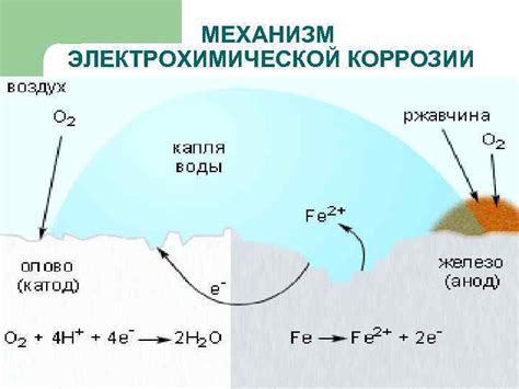 Концентрационный механизм коррозии металлов