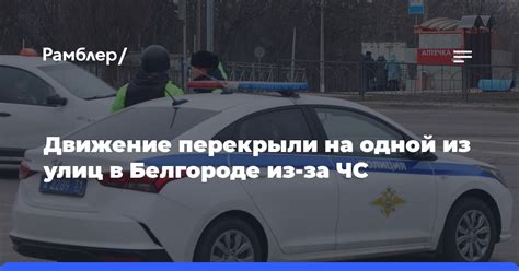 Коронавирус в Белгороде: возможности связи и информационная поддержка