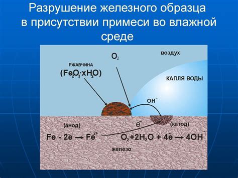 Коррозия металлов в присутствии газа хлора