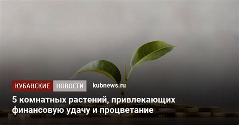 Красная струна Лазаря: привлекает финансовую удачу и процветание