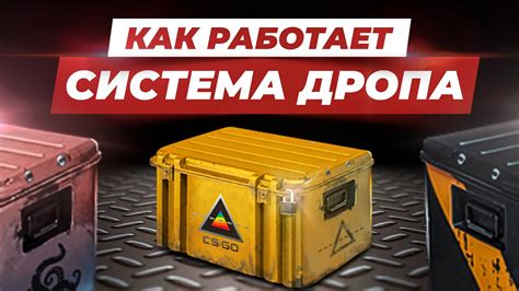 Краткий обзор кейсов с телефонами: как повысить свои шансы на успех