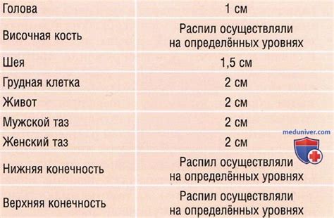 Краткое описание срезов и их значение