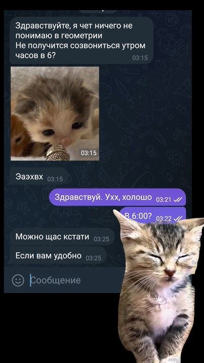 Круглосуточно на связи