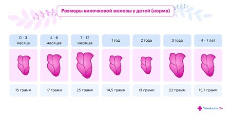 Лечение вилочковой железы у детей при помощи лекарств