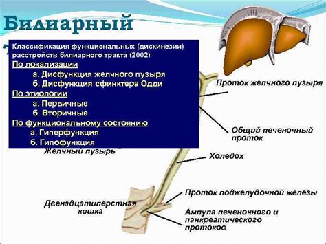 Лечение некоторых заболеваний