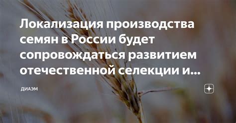 Локализация источников семян