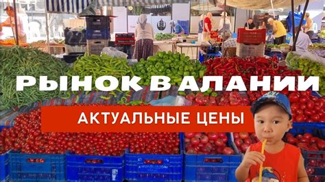 Лучшие продукты на рынке