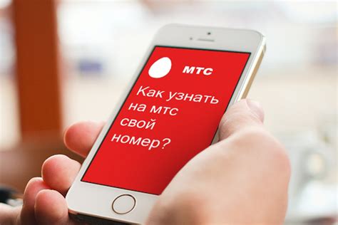 МТС по номеру