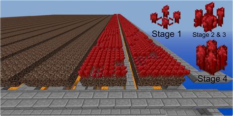 Магическая формула для выращивания адского нароста в майнкрафте