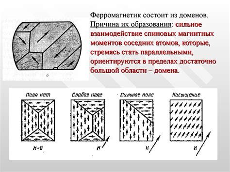 Магнетизм и домены