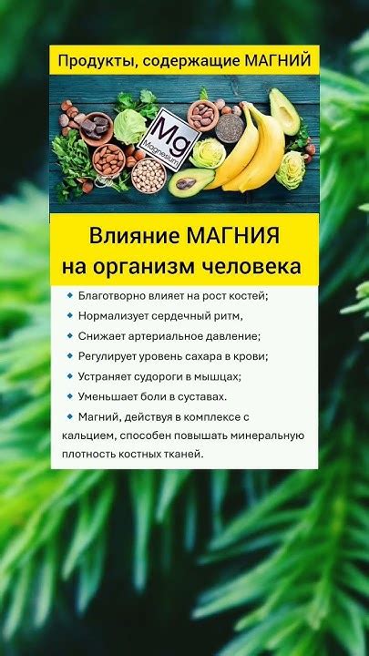 Магний: влияние на организм человека