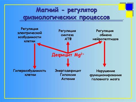 Магний: регулятор биологических процессов