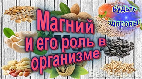 Магний и его важность