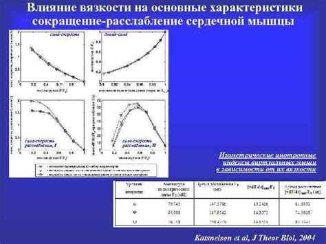 Магний и его влияние на сокращение сердечной мышцы