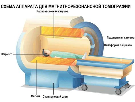 Магнитно-резонансная томография: основные принципы