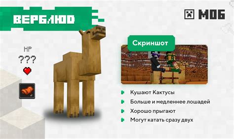 Майнкрафт 1.17.2: новое обновление для игры и важные особенности