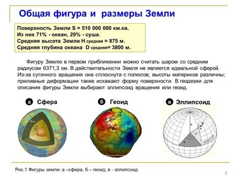 Макроструктура: форма и размеры