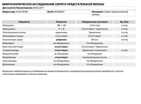 Массажист - метод воздействия на предстательную железу для улучшения ее работы