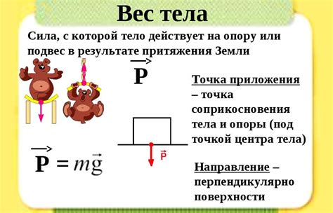 Масса и вес