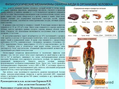 Медь: важное место в структуре организма