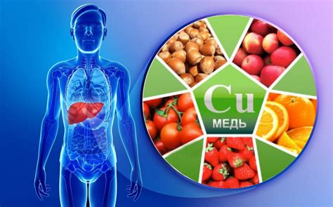 Медь: влияние на организм человека