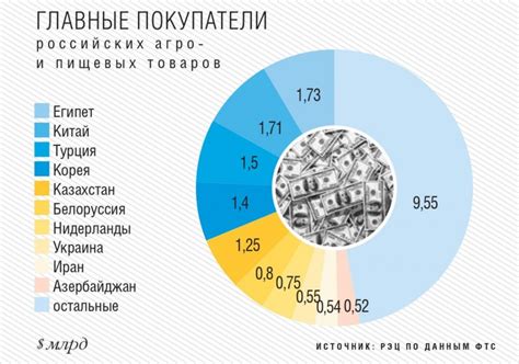 Международные рынки и возможности экспорта