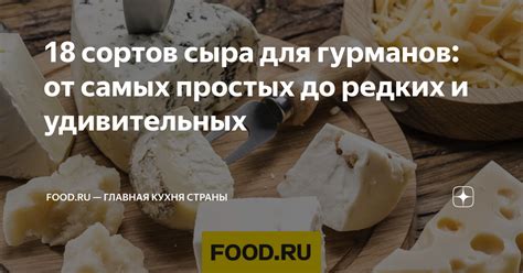 Меню для гурманов: от простых закусок до утонченных блюд