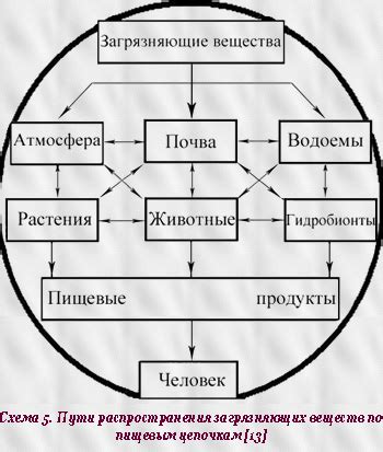 Меры по минимизации загрязнения окружающей среды тяжелыми металлами