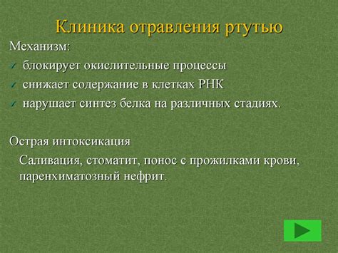 Меры предотвращения отравления солями тяжелых металлов у собак