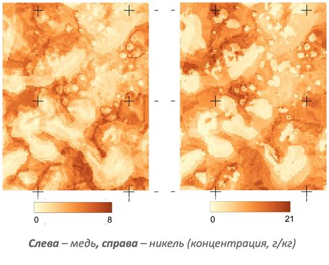 Места наибольшей концентрации тяжелых металлов