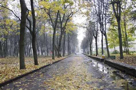 Местонахождение оптики в Ярцево