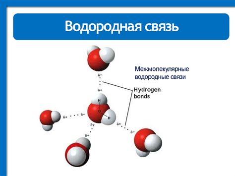 Металлическая природа хассия