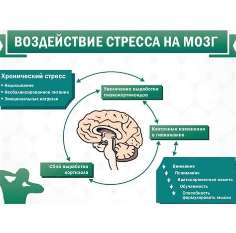 Металлические токсины и их влияние на нервную систему