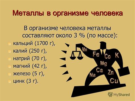 Металлы в организме человека