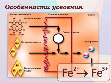 Металлы в составе гемоглобина