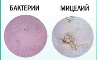 Металлы исследования микроскопией: основы и применения