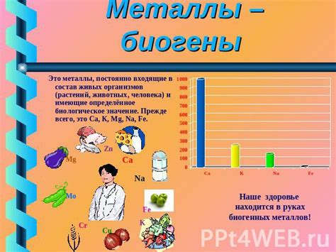 Металлы и наше здоровье