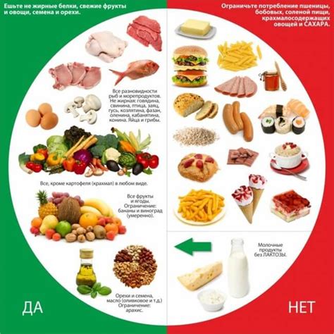 Металлы и правильное питание