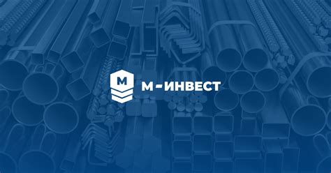 Металл инвест в России