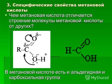 Метановая кислота: структура и основные свойства