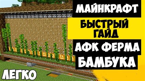 Методы и техники осуществления полива бамбука в игре Майнкрафт